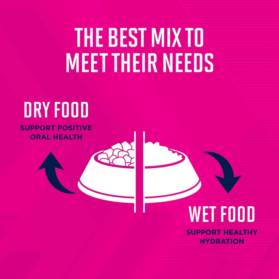 Paquete de 12 alimentos húmedos para perros adultos guiso vegetal carne de res Eukanuba para perros activos Foto 2 de 4