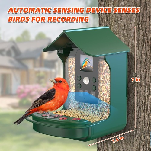 Bird Feeder with Camera, Outdoor Smart Bird Feeder with Solar Panel, - Picture 3 of 8