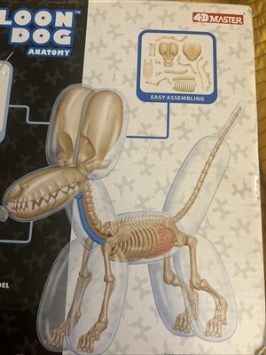 OG Balloon Dog Anatomy