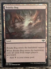 MTG: Bojuka Bog (Commander 2014)(COMMON)