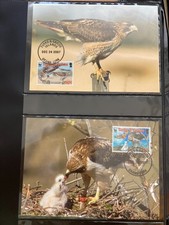 Turks and Caicos Islands 2007 Lot WWF Redtail Buzzard Maximum Cards