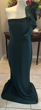 NWOT Windsor Formal Length One Floral Shoulder Green -Absolutely Stunning-L