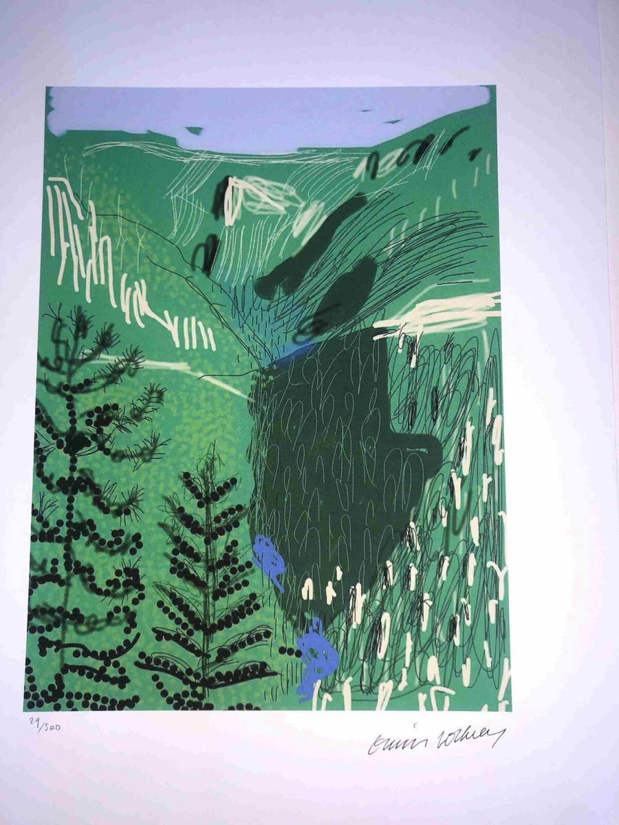 David Hockney Lithography Off Set CM 50x35 Signature On Plate With