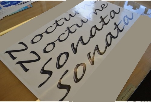 FLEETWOOD Sonata Model Caravan Name Stickers Decals Graphics - SET OF - Picture 1 of 1