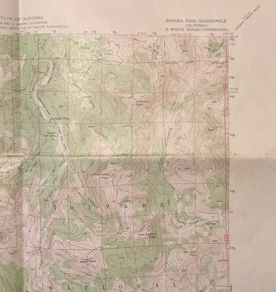 Surveyor Market Item for Sale