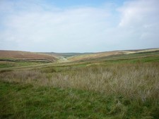 Photo A3 New Pasture Beck Grassington Taken on my way down from the disu c2014