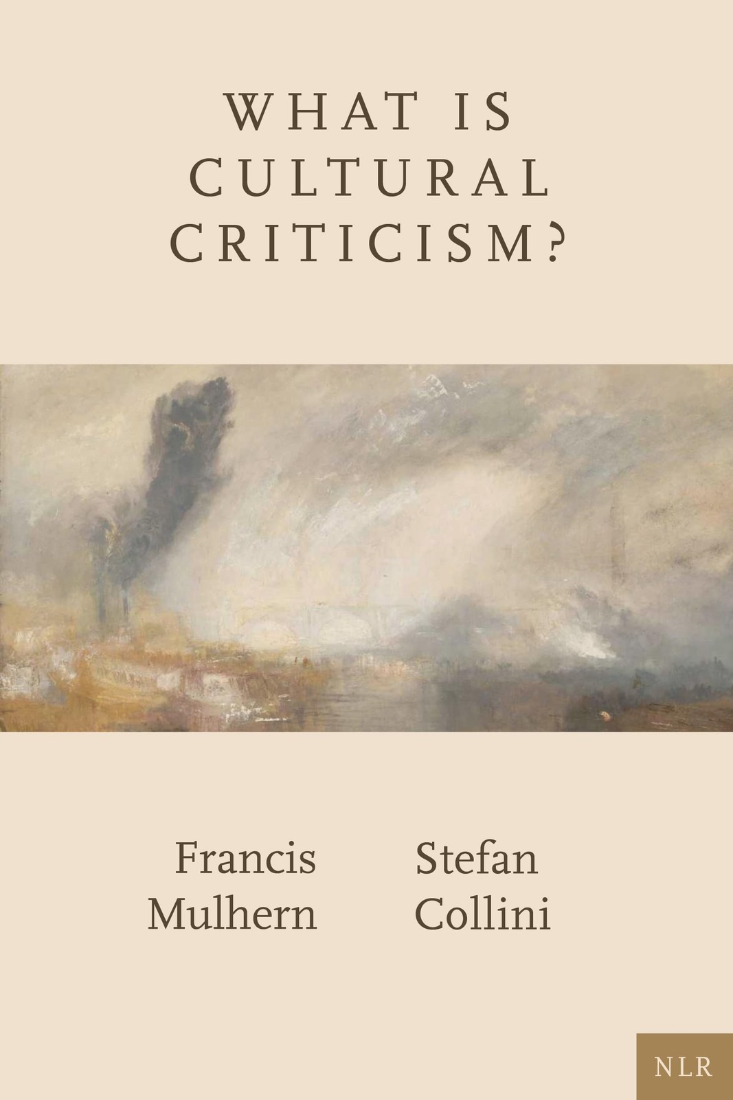 What Is Cultural Criticism?, Mulhern, Collini Free Shipping^* - Image 4