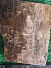 Rough Slab Petrofied Wood 94g. 5/16" Thick Lapidary Cabbing #WB-1 — photo 1