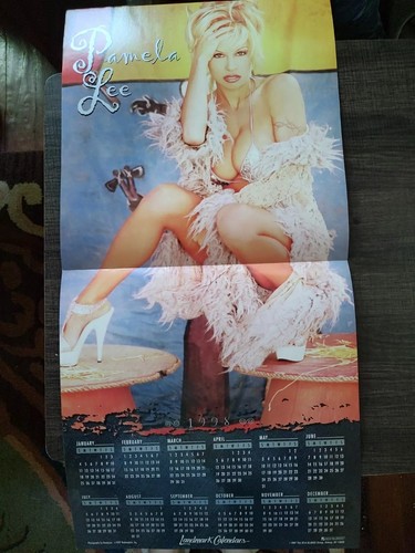 Vintage Pamela Anderson Lee 16 Month Calendar 1998 With Bonus Poster - Picture 12 of 12