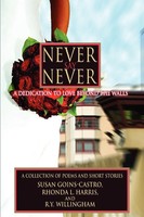 Ry Willingham | Never Say Never | Taschenbuch | Englisch (2007) | iUniverse