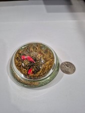  on The Hot Collector