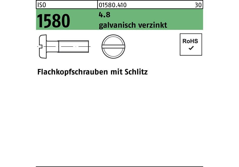 Рейхерная металлическая труба ISO 1580 m.Schlitz M 6 x 30 4,8 гальванический сплав