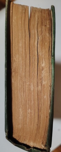 The Beasts of Tarzan 1916 Edgar Rice Burroughs First Edition Teen Chapter Book - Picture 15 of 17