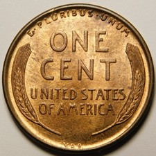 1909 VDB Lincoln Wheat Cent Penny RB UNC-BU Actual Coin Pictured