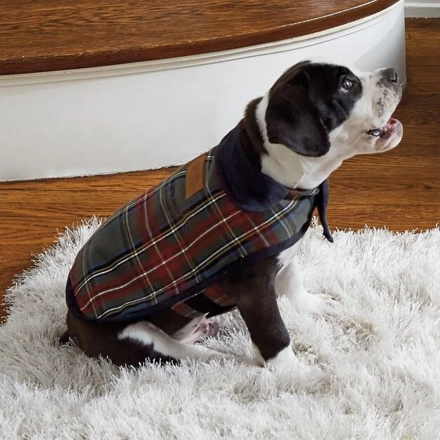Pendleton dog cheap coats