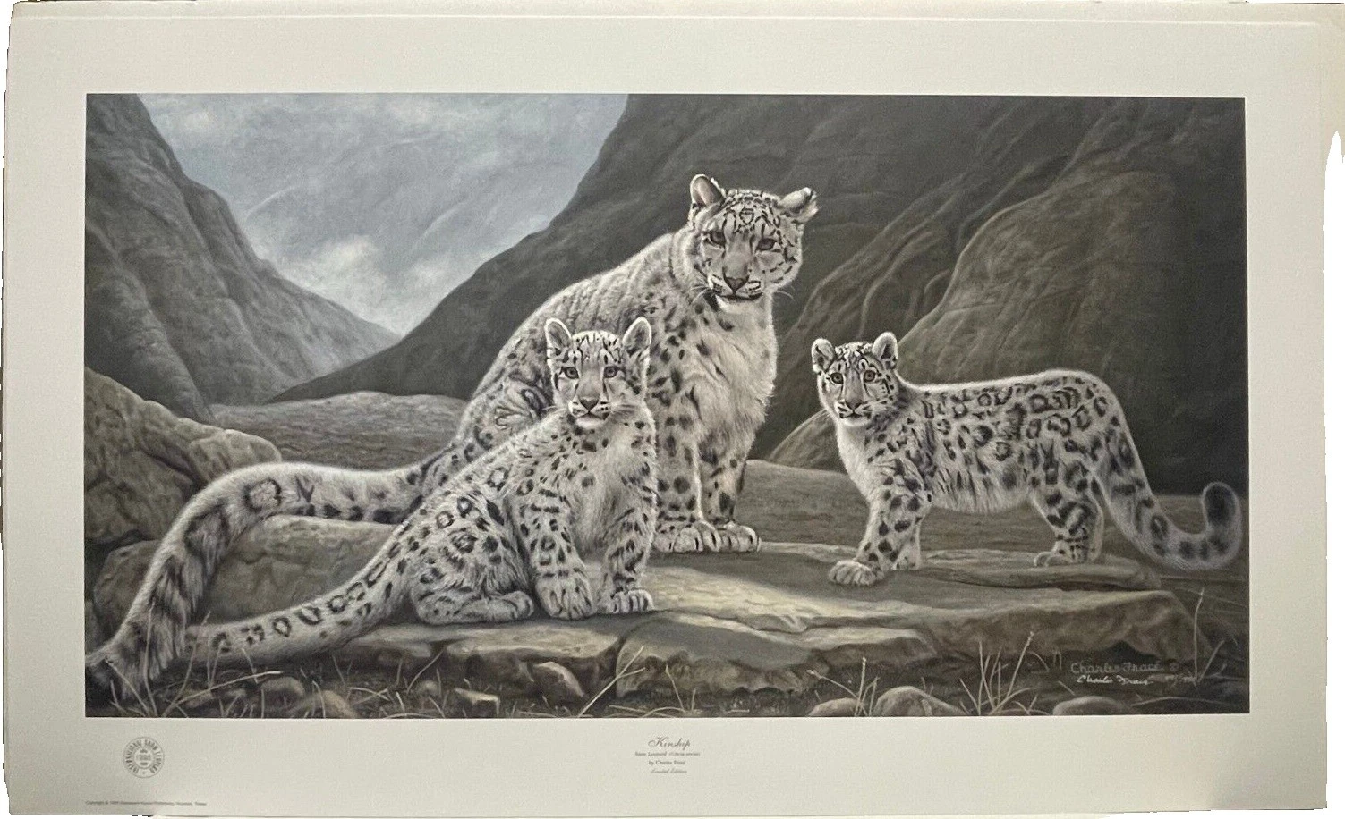 Realism Limited Edition Art Prints