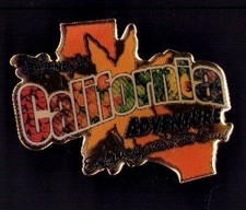 Disney California Disneyland Disney Trading Pin DCA Kg Everything Pin