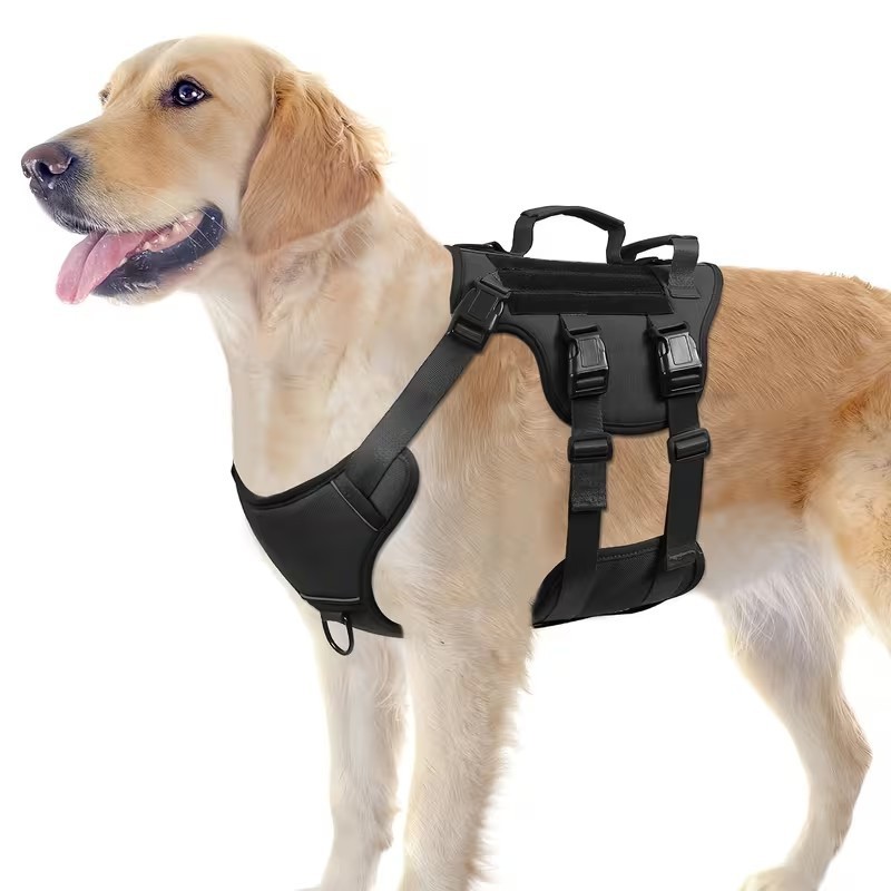 dog harness