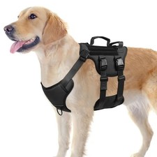 dog harness