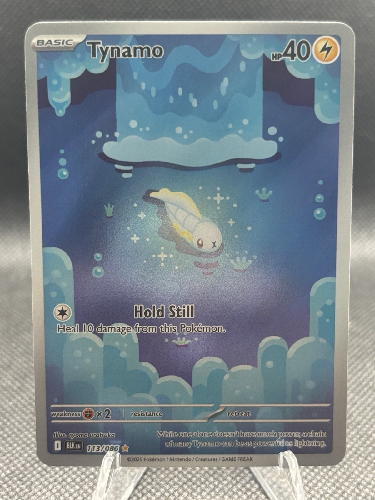 Pokémon TCG Tynamo #113 --Black Bolt --Scarlet & Violet Series NM/Mint Condition