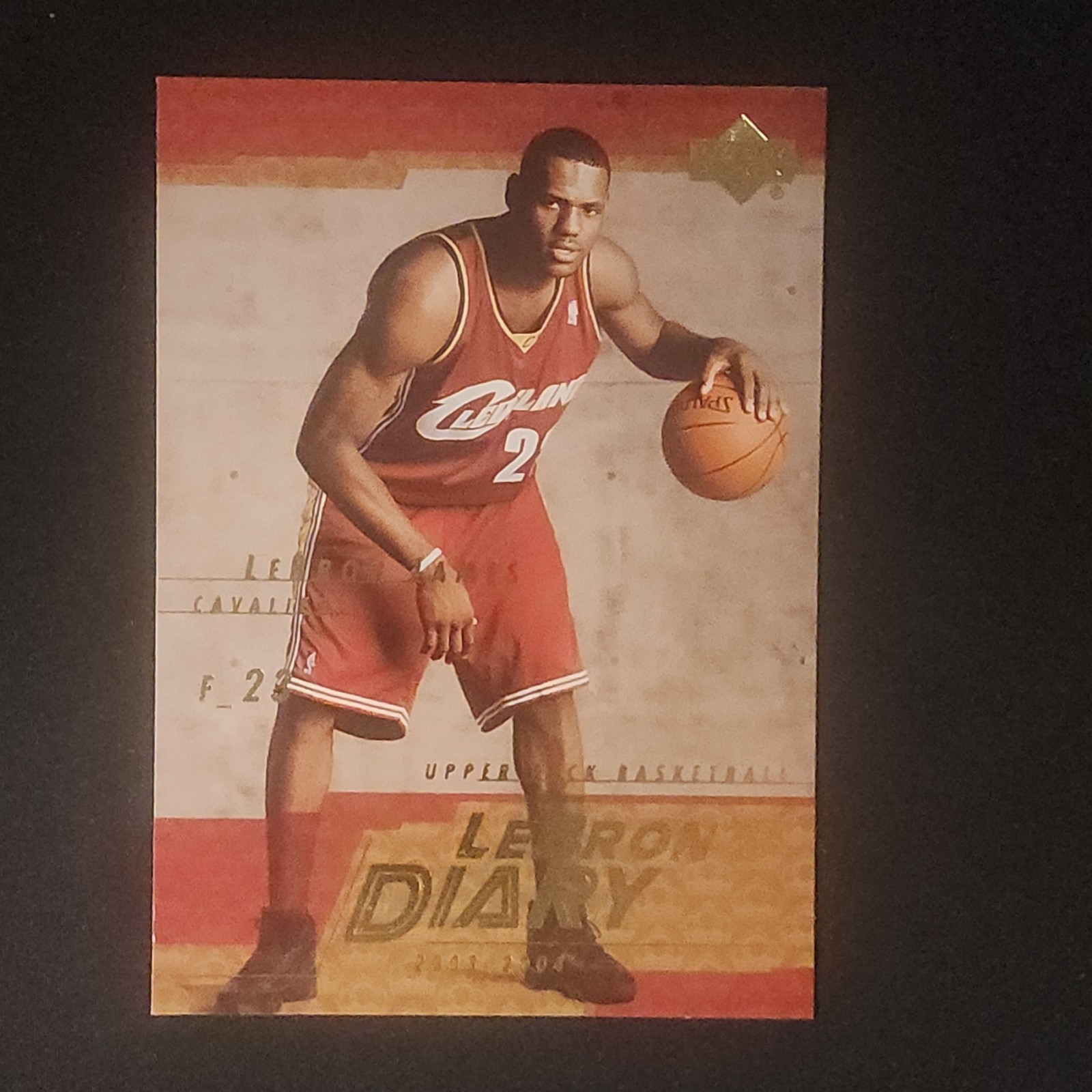 Upper Deck 2003-04 LeBron's Diary Insert LeBron James Cavaliers #LJ13