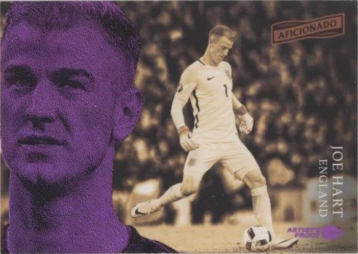 その他 panini noir Joe Hart 2016-17 Panini Aficionado Joe Hart #64 for sale | eBay