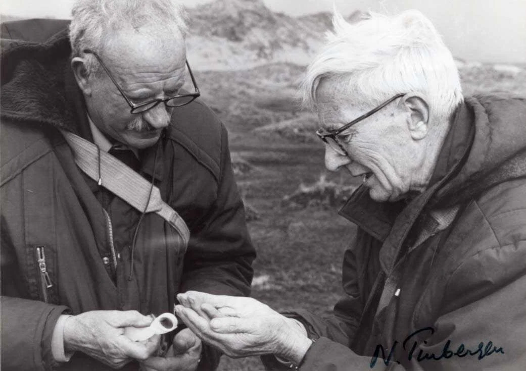 BIOLOGIST Niko Tinbergen NOBEL PRIZE 1973 autographs, signed photo | eBay