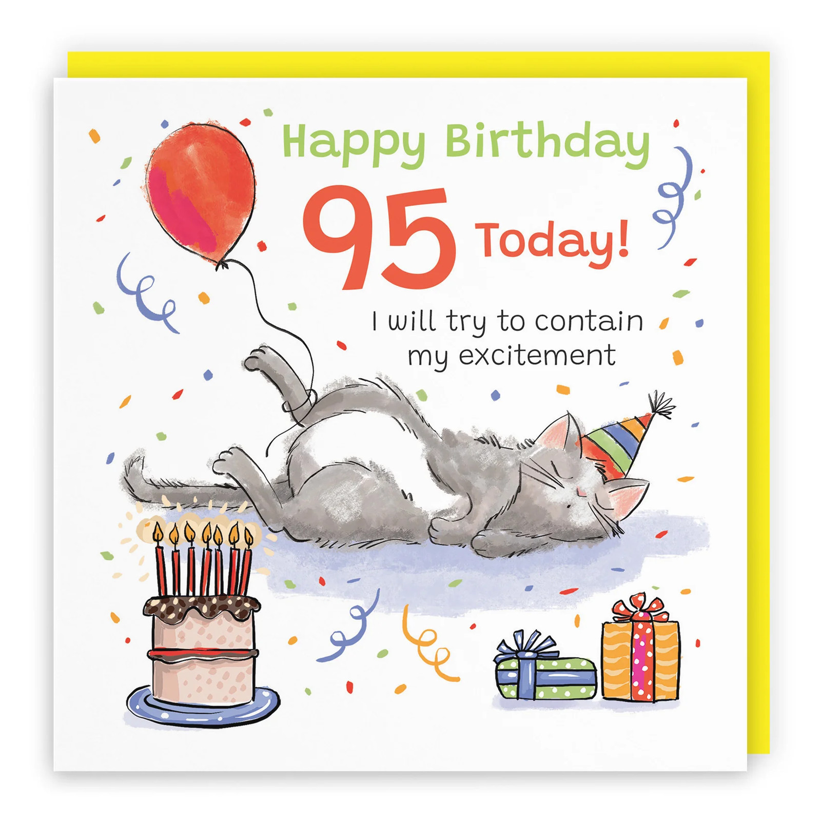 95th Birthday Card Sleepy Cat Animal Party