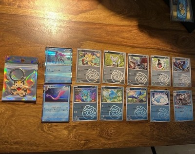 Pokémon TCG Karten Lot 10 Masterball, 2x Reverse Holo & Schlüsselanhänger