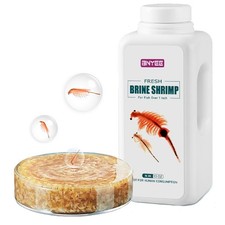 Fresh Brine Shrimp Fish Food - Adult Non-Living Shrimp for Fish Over 1 Inch