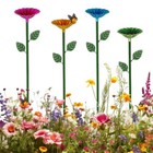 Bild 9 von 18