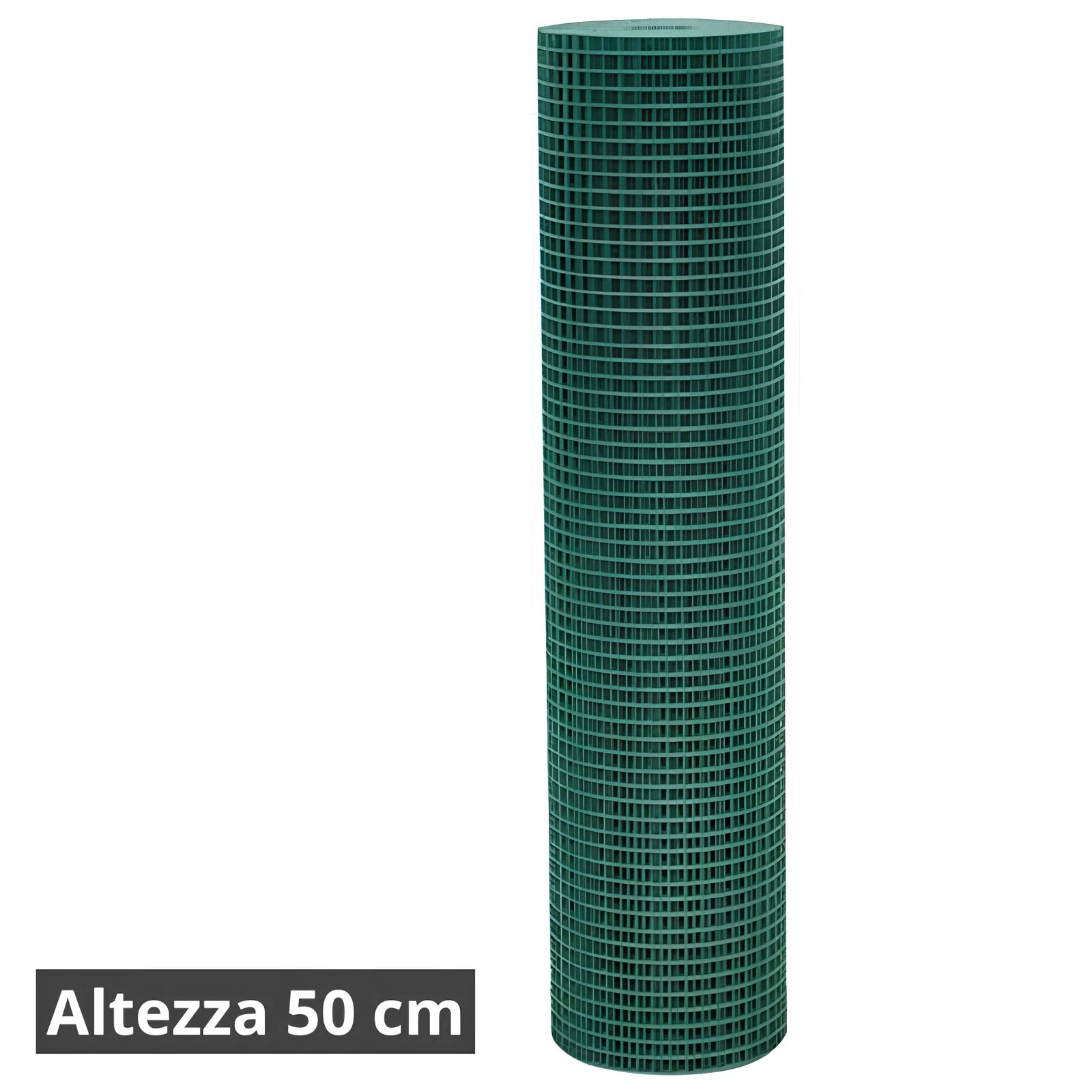 Foto 7 di 12
