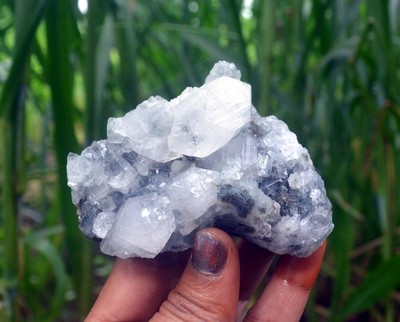 apophyllite crystals & matrix minerals specimen m-5
