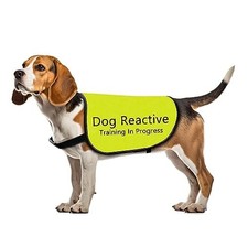 Reactive Training In Progress Vest - Dog Training-Large, Yellow