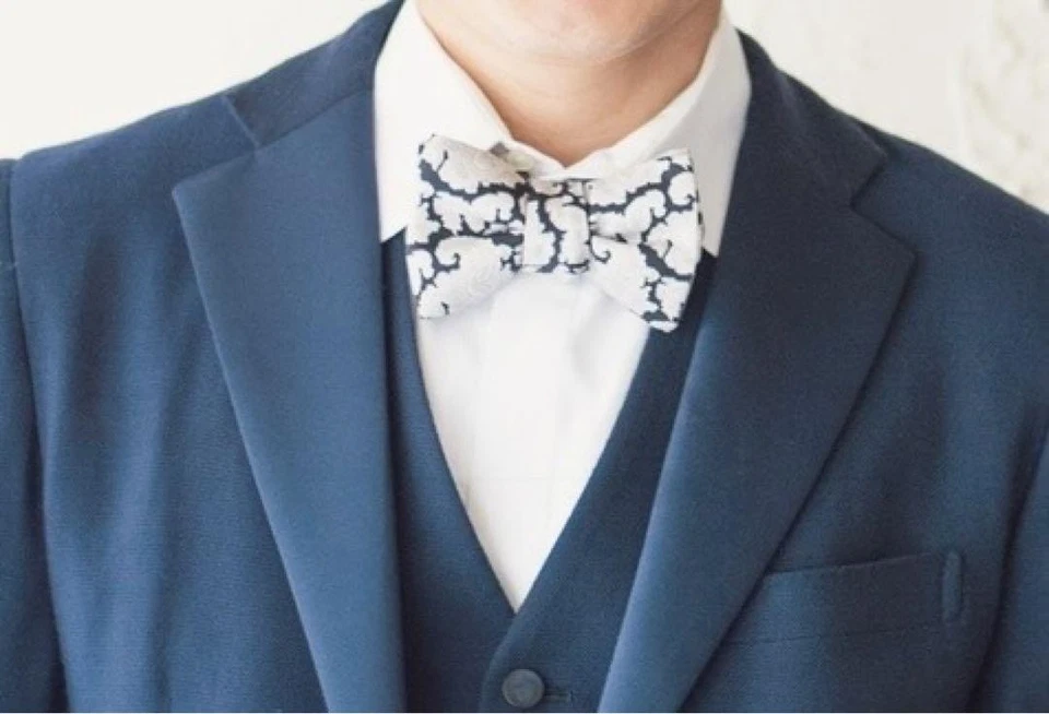 Tom Ford Paisley Pajarita Negro Plata Hombres Corbata Seda Traje Accesorios Formales Foto 3 de 4