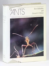 The Ants by Holldobler and Wilson HCDJ Later Printing Belknap Press Illustrated