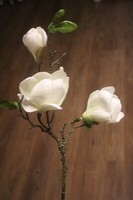 Kleiner Magnolienzweig Mit 2 BlüTen Und 2 Knospen, H Ca. 50 Cm, Kunstblumen Weiß