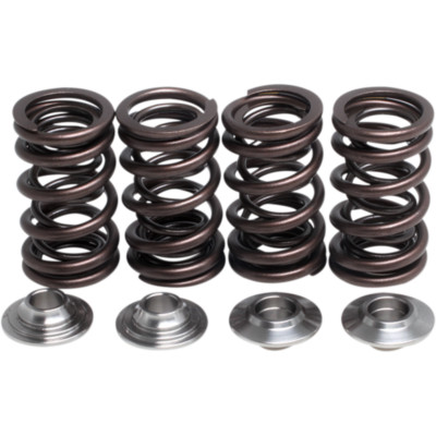 KIBBLEWHITE SPRING KIT PREDITOR 500 82-82012X