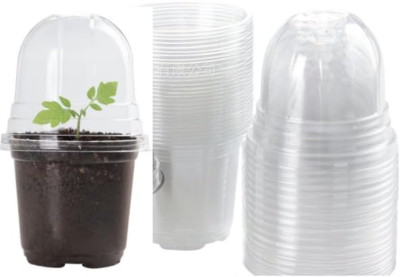 EffiFish Transparente Blumentöpfe, Orchideen-Anzuc Produktbild-Vorschau 8