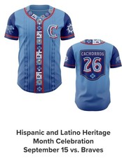 Chicago Cubs Collecting and Fan Guide 16