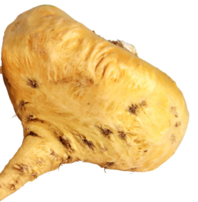 tatsoi saatgut Mustard Tatsoi Seed