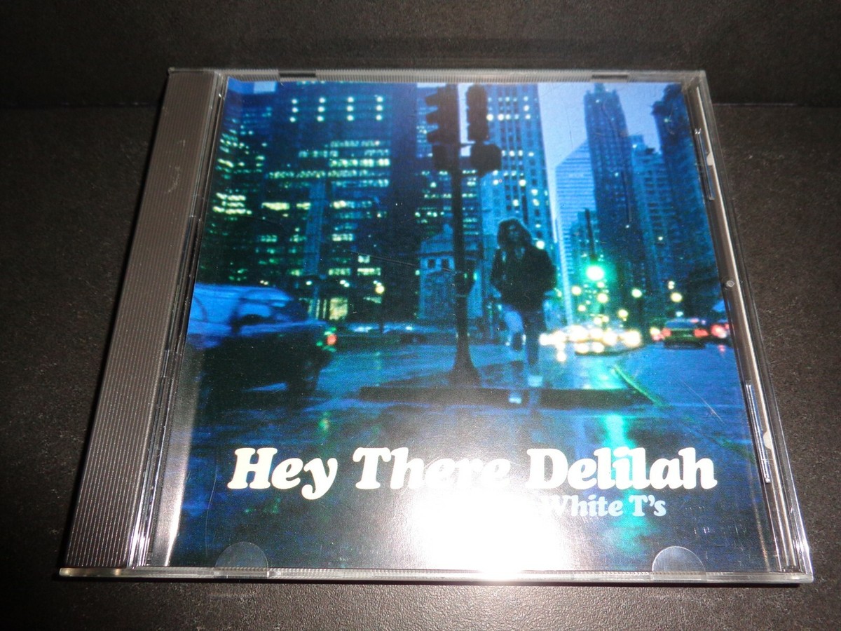 Plain White T's Hey There Delilah Cover HEY THERE DELILAH By