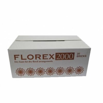 Florex Schaum TROCKEN Blumen Ziegel Seide Trocken Gestecke Hochzeiten und Veranstaltungen Box mit 20