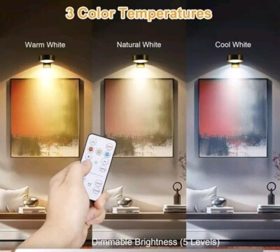 Remote Control Picture Light, Dimmable LED Art Display - Pack of 2