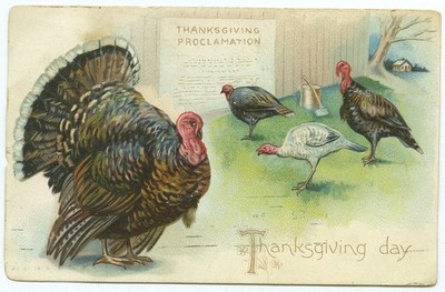 Turkeys Read the Thanksgiving Proclamation 1907 Antique Postcard Raphael Tuck 