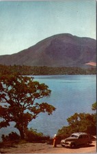 Girl looking from Vintage Car at Clear Lake CA California Postcard Nature