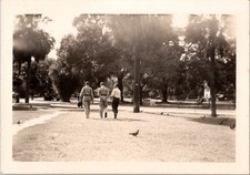 Vintage WWII Era Snapshot Soldiers Walking in Tropical Park Palm Trees Pigeons