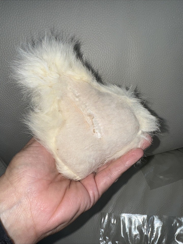 Jerry Elsner kitten cat rabbit fur Mint Condition Red Ears Blue Eyes eBay