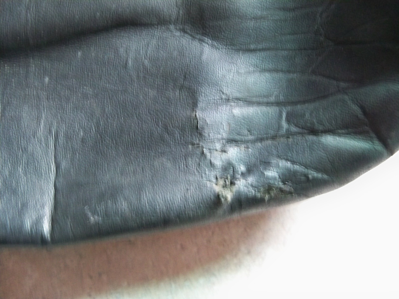 Picture 3 of 8