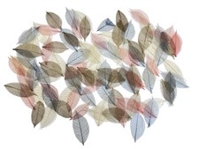 100 X Skeleton Leaves Job Lot Craft Cards Scrapbook Toppers Embellishments